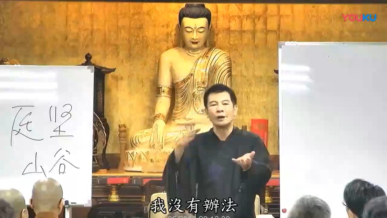 28.体佛法师讲《六祖坛经》(出家前)