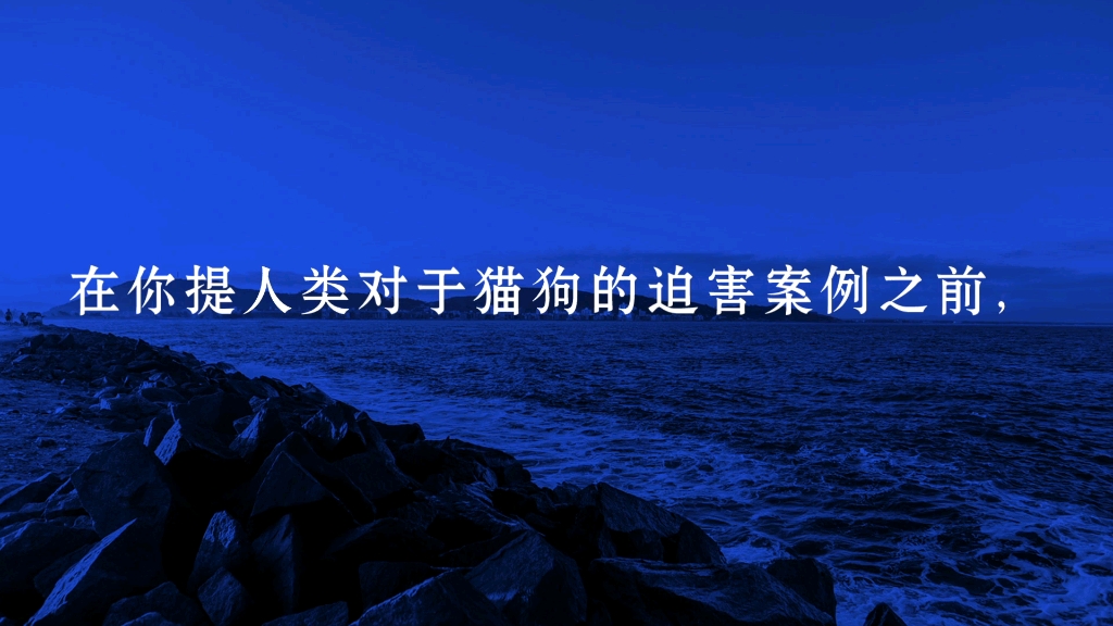 [图]关于流浪动物的一段话，文字虽来源网络，但老苏觉得不错