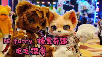 Video herunterladen: 【你好兽聚 · 糖果奇遇】Hi furry毛毛混剪