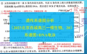 下载视频: 遗传系谱图分析（2023北京西城高三一模生物，20）系谱图+DNA电泳