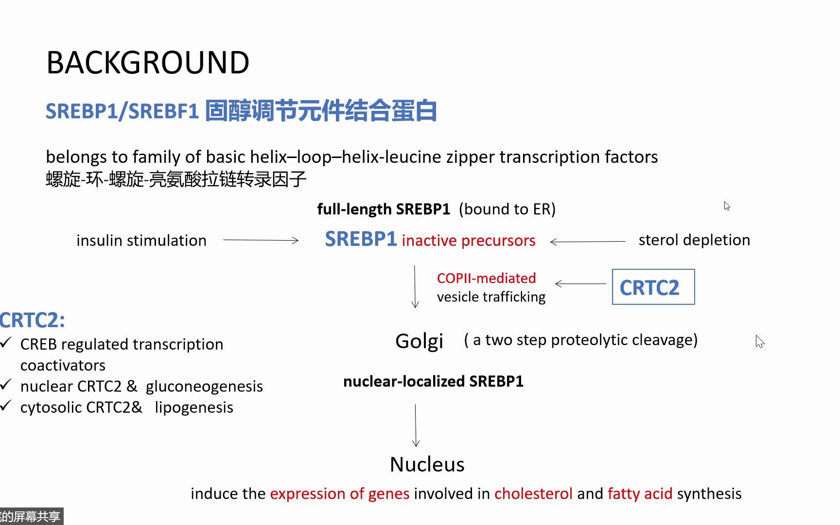 [图]The CREB coactivator CRTC2 controls hepatic lipid metabolism by regulating SREBP