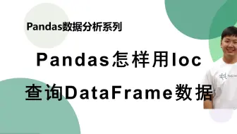 【Pandas系列】Pandas使用loc方法查询数据