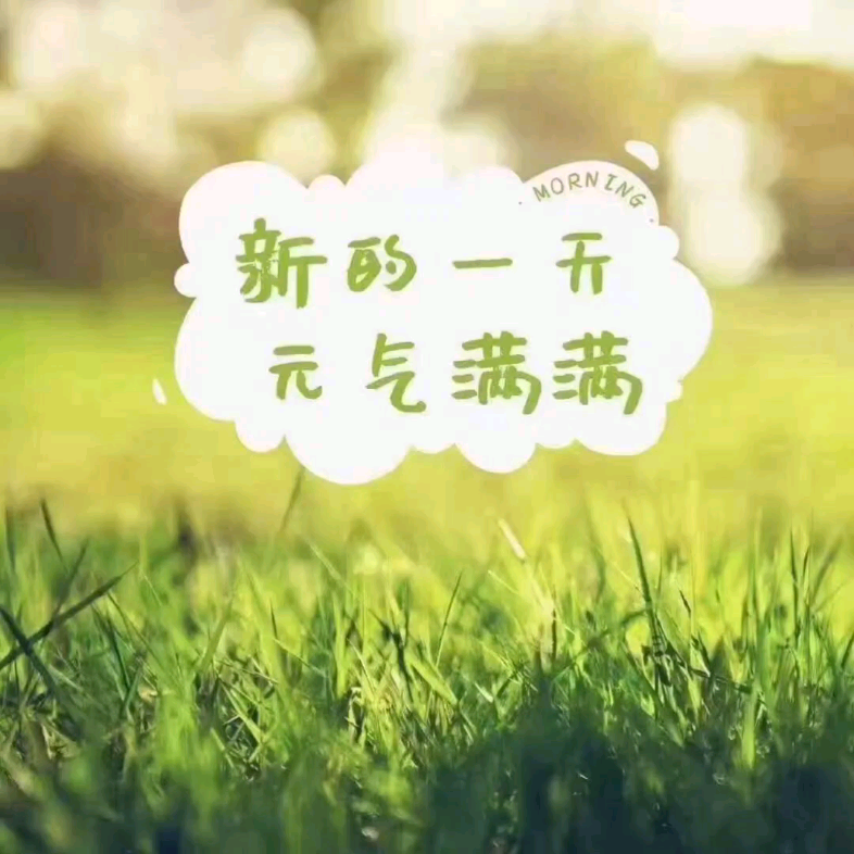 迷迷瞪瞪哔哩哔哩bilibili