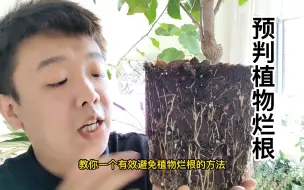 Download Video: 教你一个通过土壤判断植物闷根烂根的方法