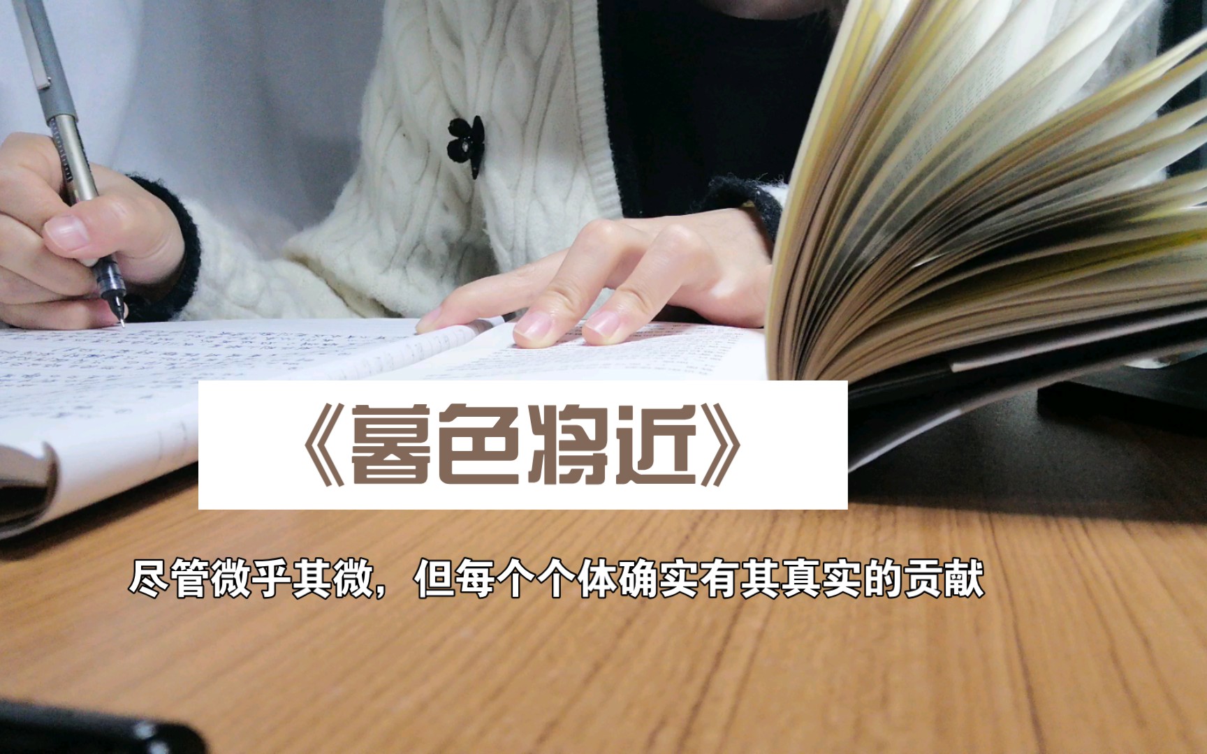 “尽管微乎其微,但每个个体确实有其真实的贡献,不管贡献是有益的还是有害的” | 金句摘抄 | 《暮色将近》哔哩哔哩bilibili