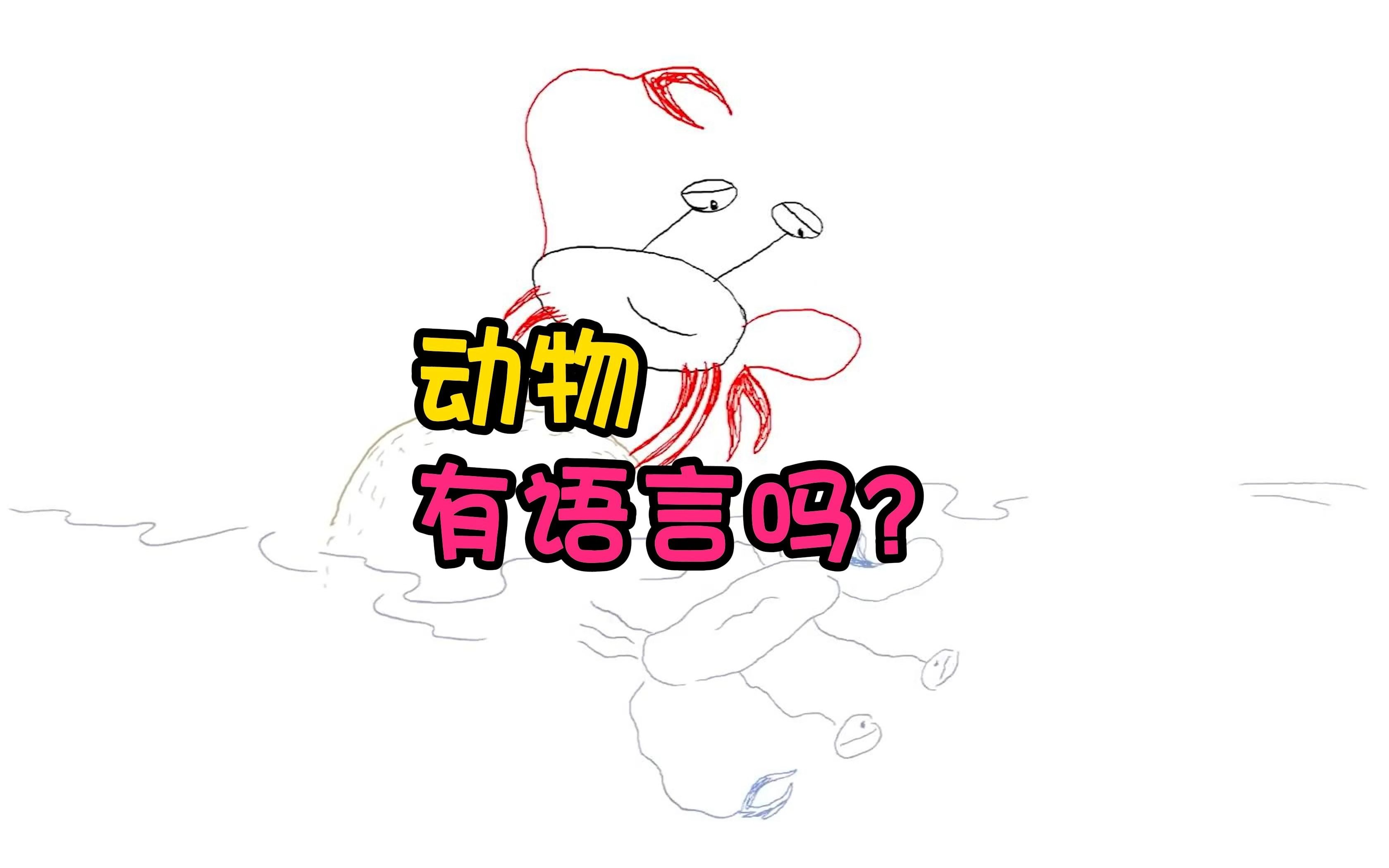 动物们都有语言吗?哔哩哔哩bilibili