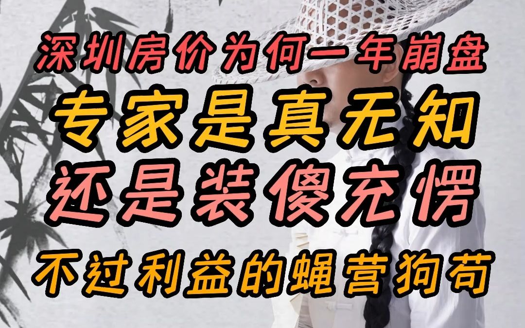 深圳房价为何一年崩盘 专家是真无知还是装傻充愣 背后不过是利益的蝇营狗苟哔哩哔哩bilibili