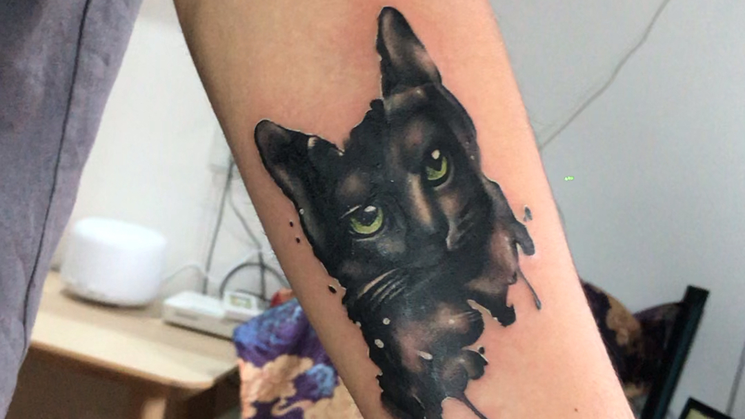 黑色猫咪遮盖旧纹身_哔哩哔哩_bilibili