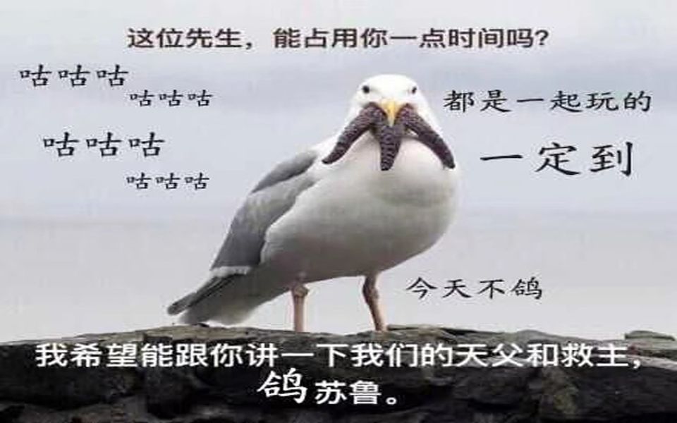 coc跑团薇尔大小姐的导入