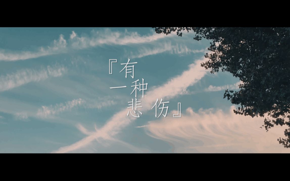 有一种悲伤翻唱原创mv