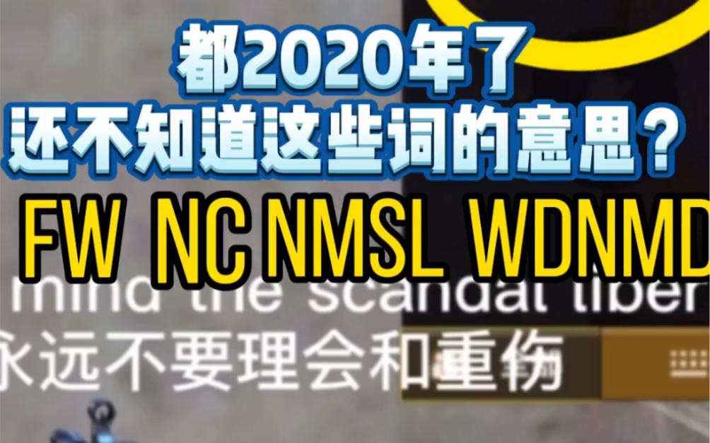 2020年了,这些游戏内的缩写词你知道是什么意思了吗哔哩哔哩bilibili