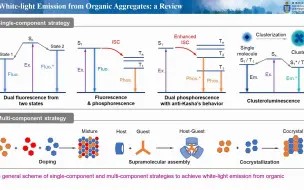 Download Video: Advanced Photonics| 唐本忠院士团队综述：基于有机聚集体的白光材料