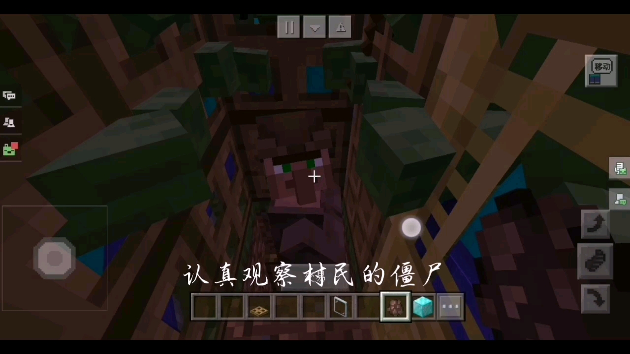 认真观察村民屁股的僵尸
