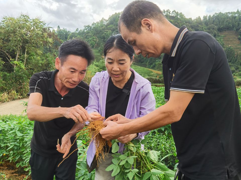 乡村振兴她力量 | 科技特派员廖红:推广生态茶园 把科技送到老百姓手里哔哩哔哩bilibili