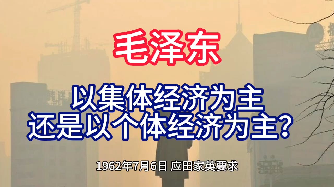 《毛泽东年谱》以集体经济为主 还是以个体经济为主?——1962年7月6日哔哩哔哩bilibili