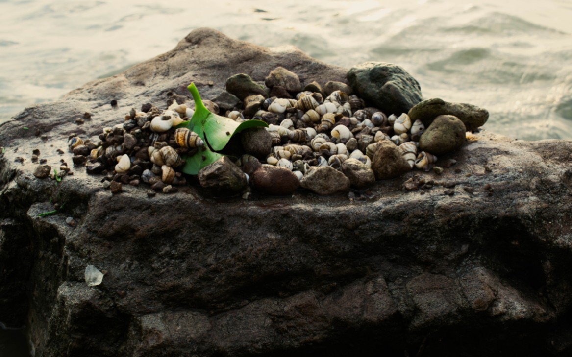 摄影小白用十年前的老单反尼康d5300能拍出什么照片?