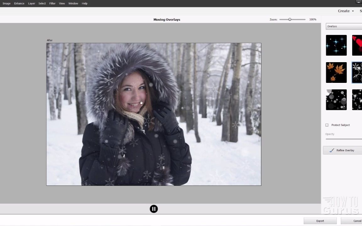 Photoshop Elements 2023(PS简化版2023) win/mac版哔哩哔哩bilibili