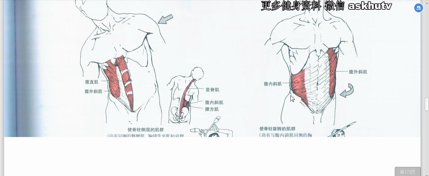 [图]《运动解剖学图谱》-第三版--顾德明0