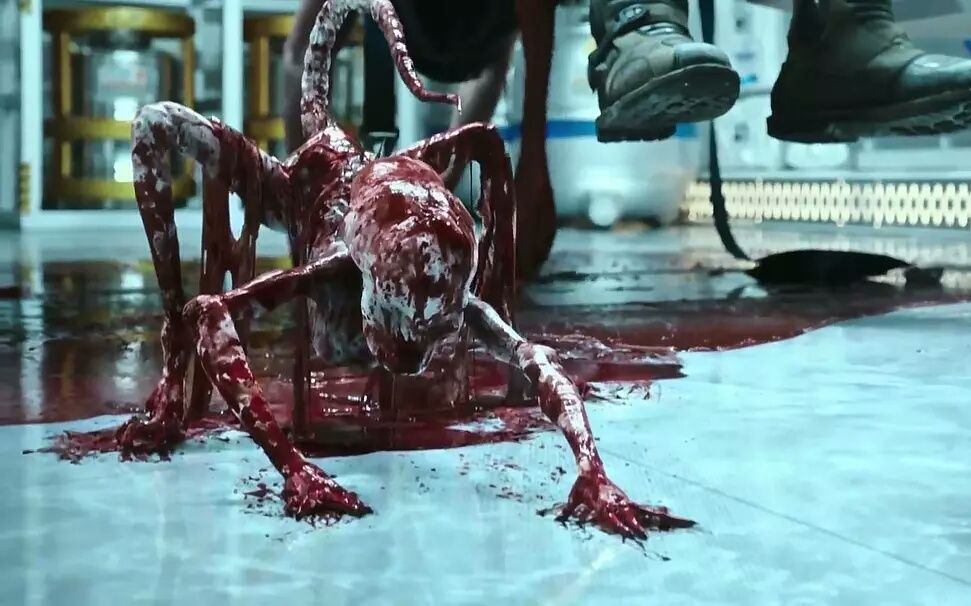 小异形出生神秘人登场