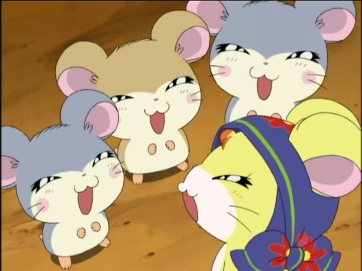 [图]哈姆太郎 Hamtaro S2-095（2）