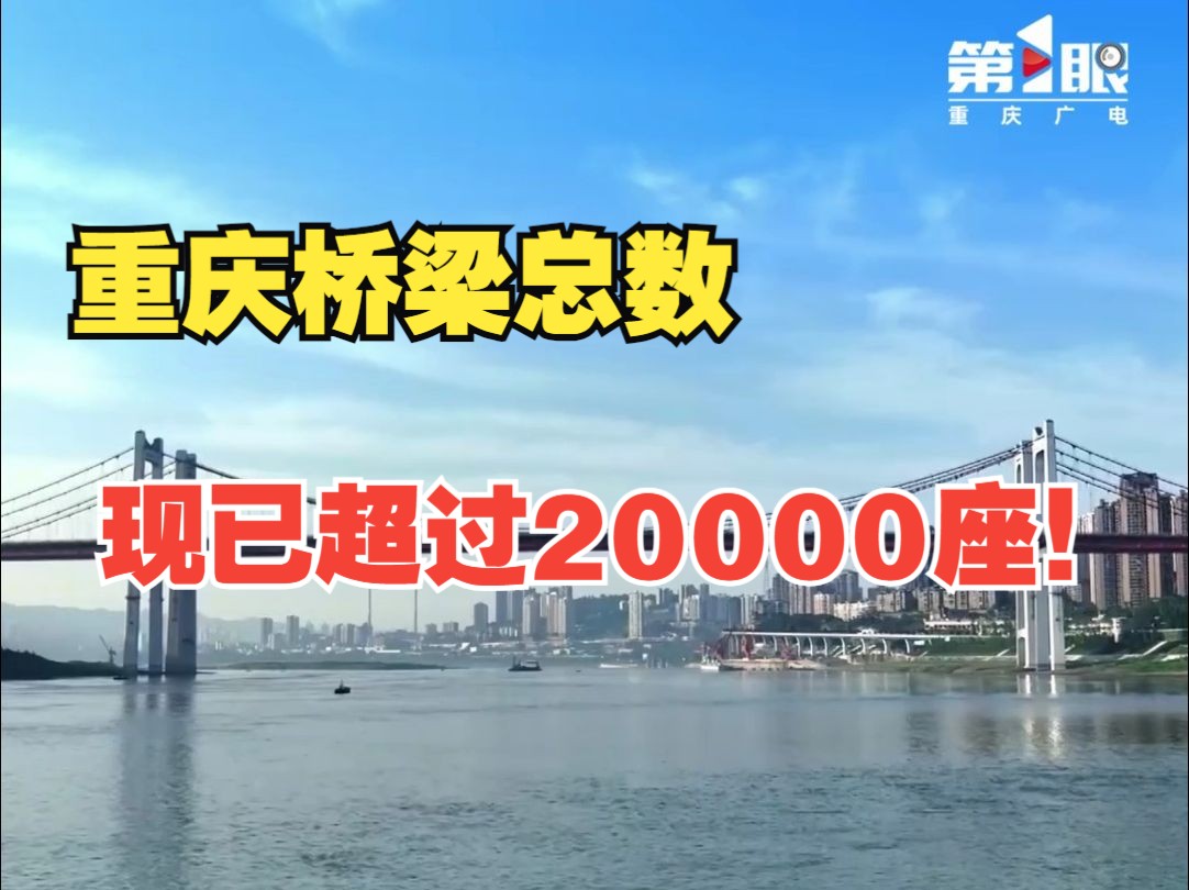 逢山开路,遇水架桥!重庆桥梁总数现已超过20000座!哔哩哔哩bilibili