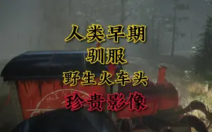 Download Video: 人类早期驯服野生火车头的珍贵影像