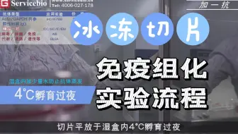 【冰冻切片】免疫组化IHC实验流程