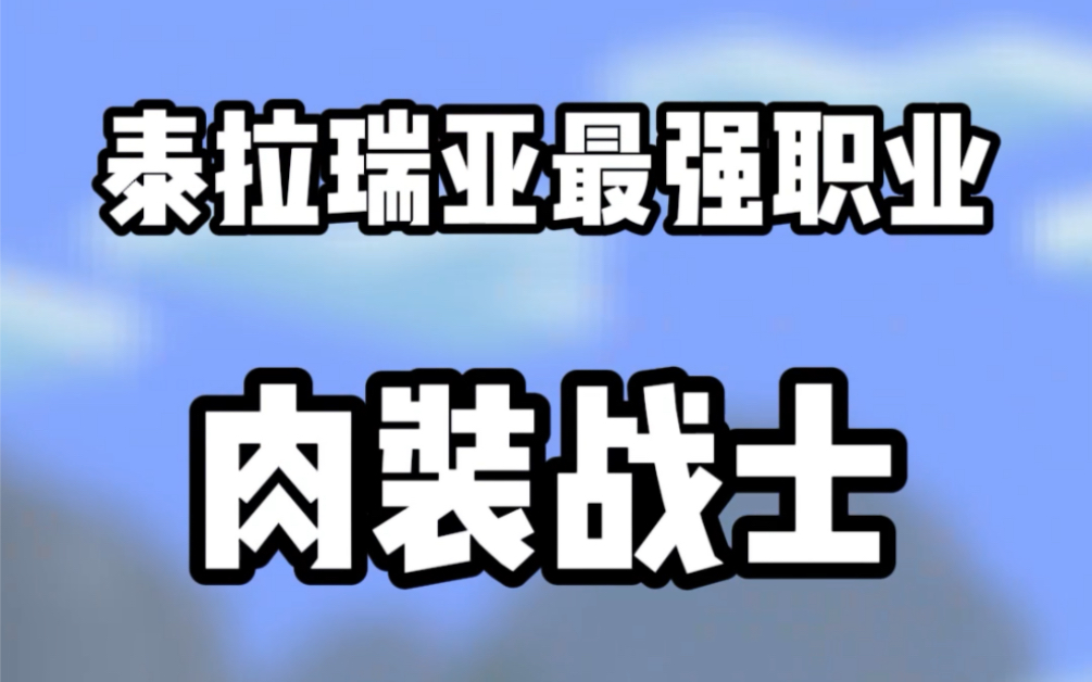 泰拉瑞亚最强职业:肉装战士.网络游戏热门视频