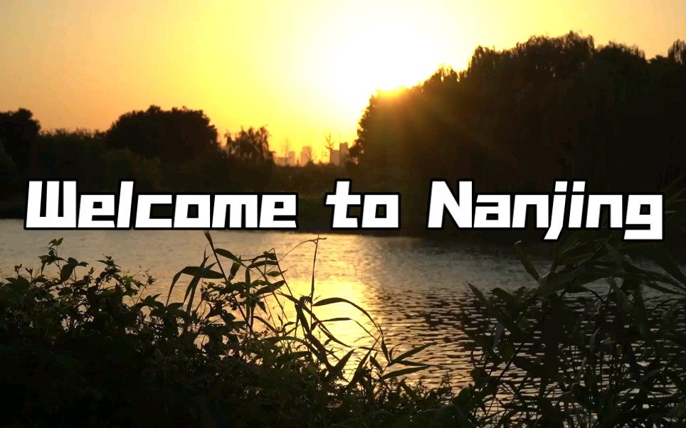 Welcome to Nanjing|南京介绍哔哩哔哩bilibili