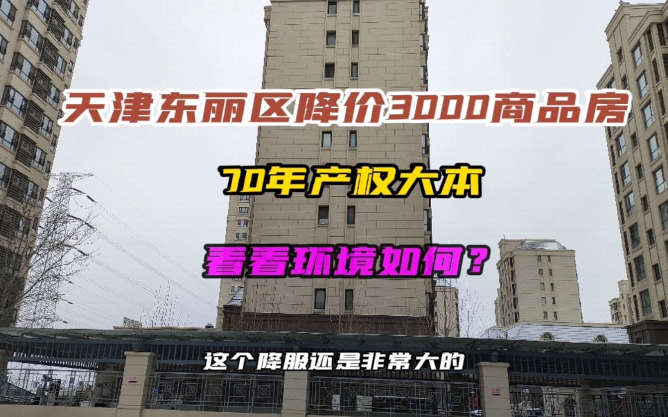 天津东丽区降价3000商品房,70年产权大本,一平1万2,到底如何?哔哩哔哩bilibili