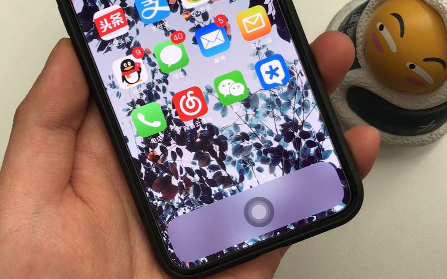 给iPhone X添加一个Home键,林志颖都设置了,非常好用哔哩哔哩bilibili