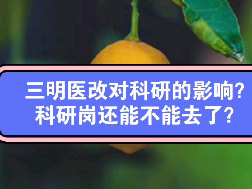 三明医改对科研的影响?科研岗还能不能去了?哔哩哔哩bilibili