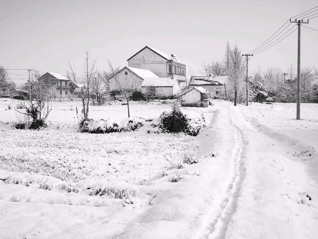 下雪天图片农村图片