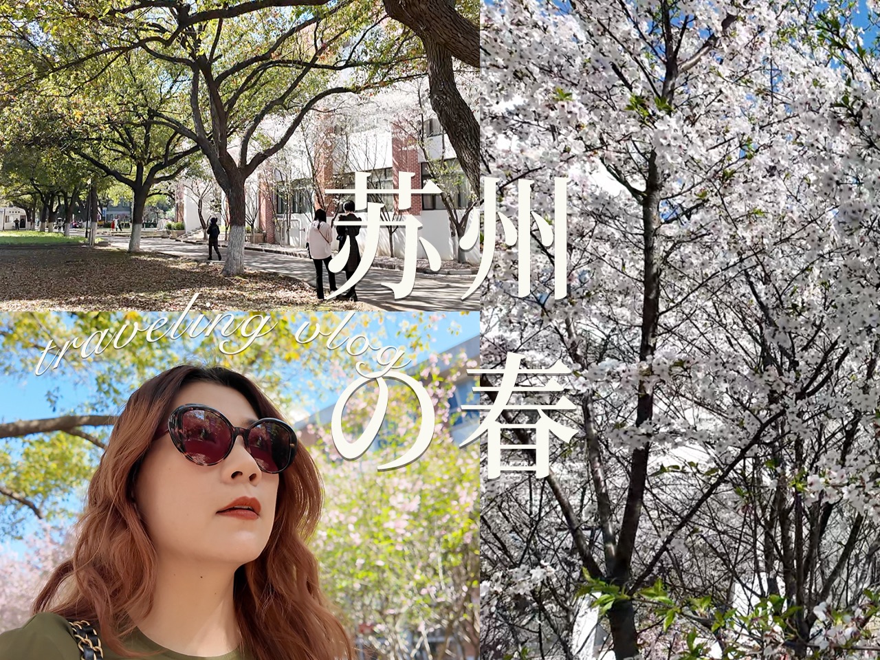【vlog】重返17岁校园,苏州是我永恒的春天!