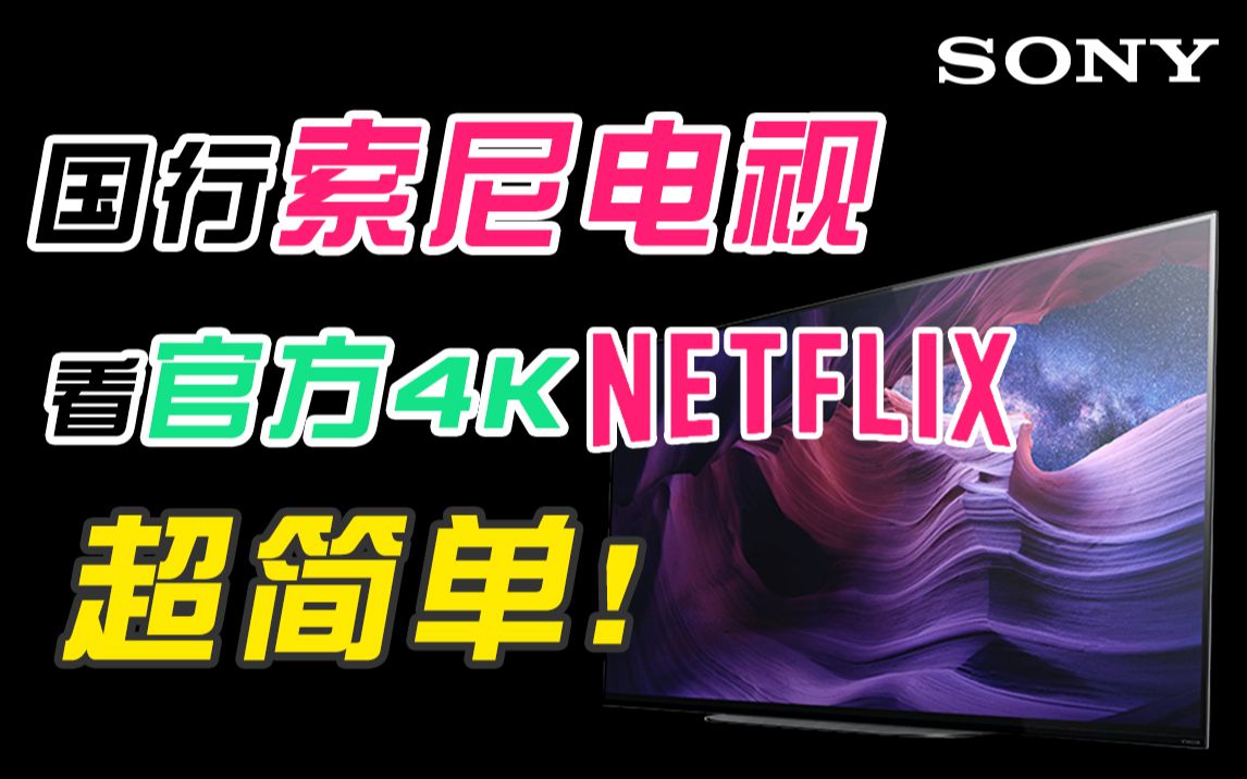 不跟着我学,你就是在浪费钱,轻松玩转索尼bravia85寸看奈飞Netflix【索尼电视第二集】哔哩哔哩bilibili