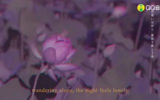 祈り花 平井大 搜索结果 哔哩哔哩 Bilibili