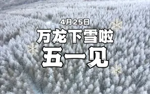 Download Video: 4月25日万龙又下雪了！