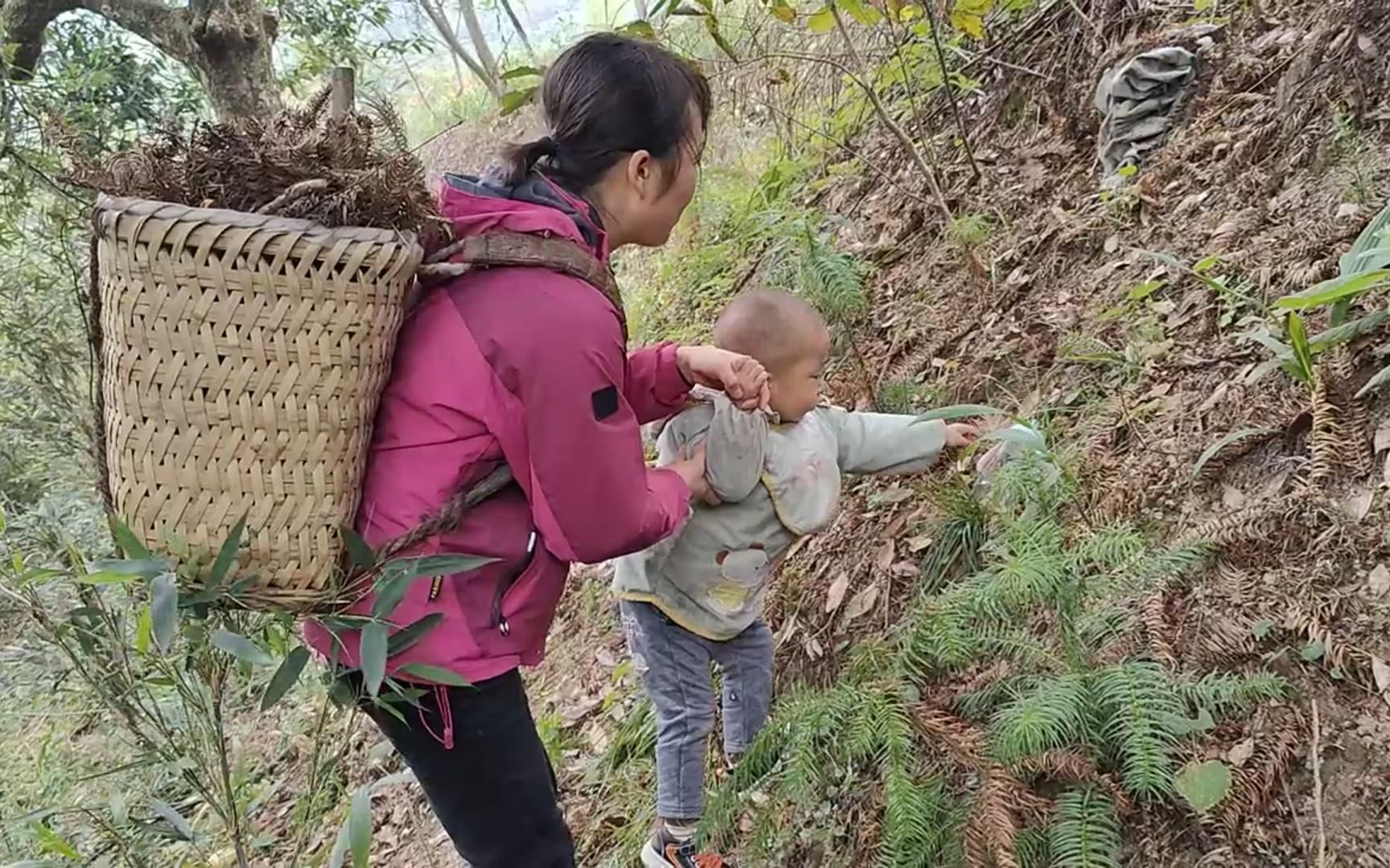 [图]今天把这片苦竹林打整出来，前几年没人管，都荒了