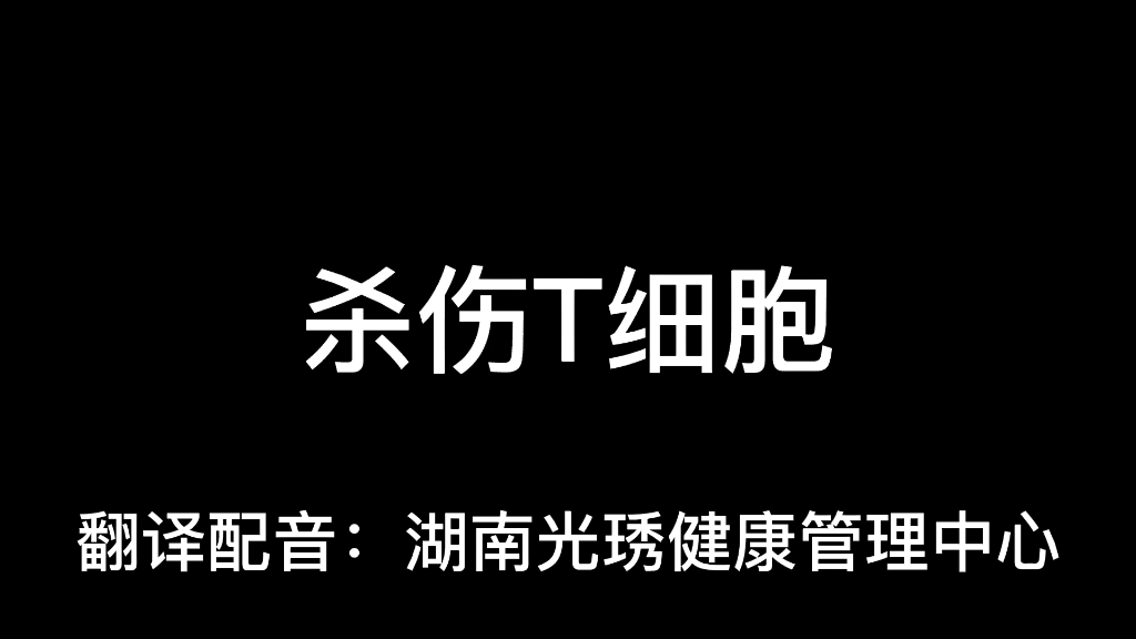 杀伤T淋巴细胞杀死肿瘤细胞的真实活体视频哔哩哔哩bilibili