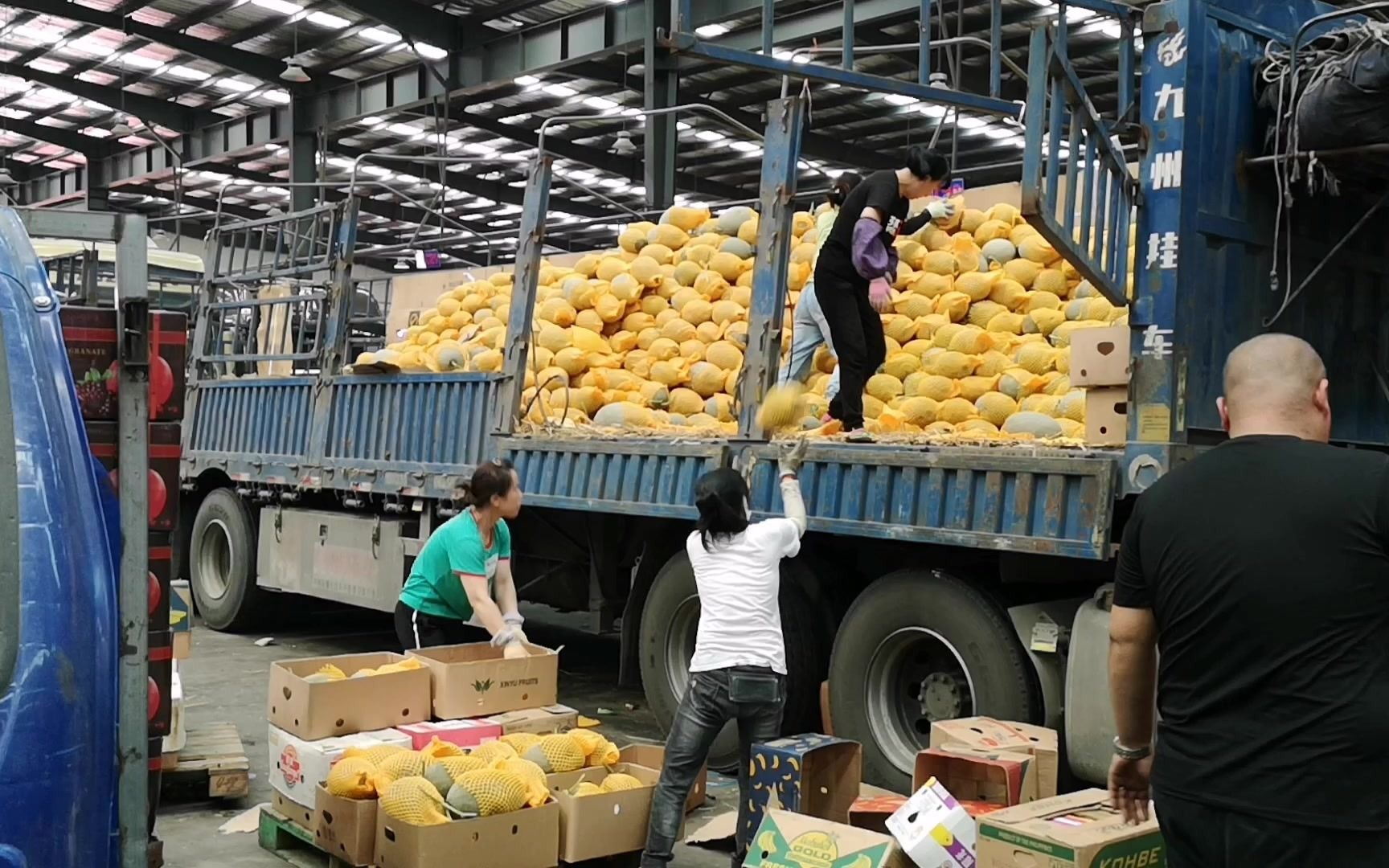 沈阳有个市场,大汽车拉水果卸车就卖,这价格是不老便宜了?