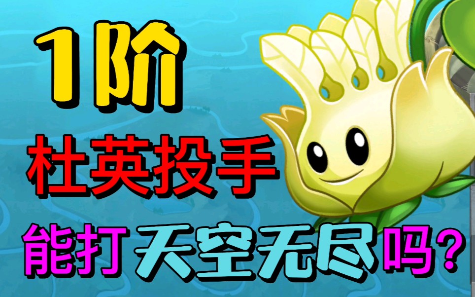 【天空无尽神器】1阶的杜英投手能打天空无尽吗?