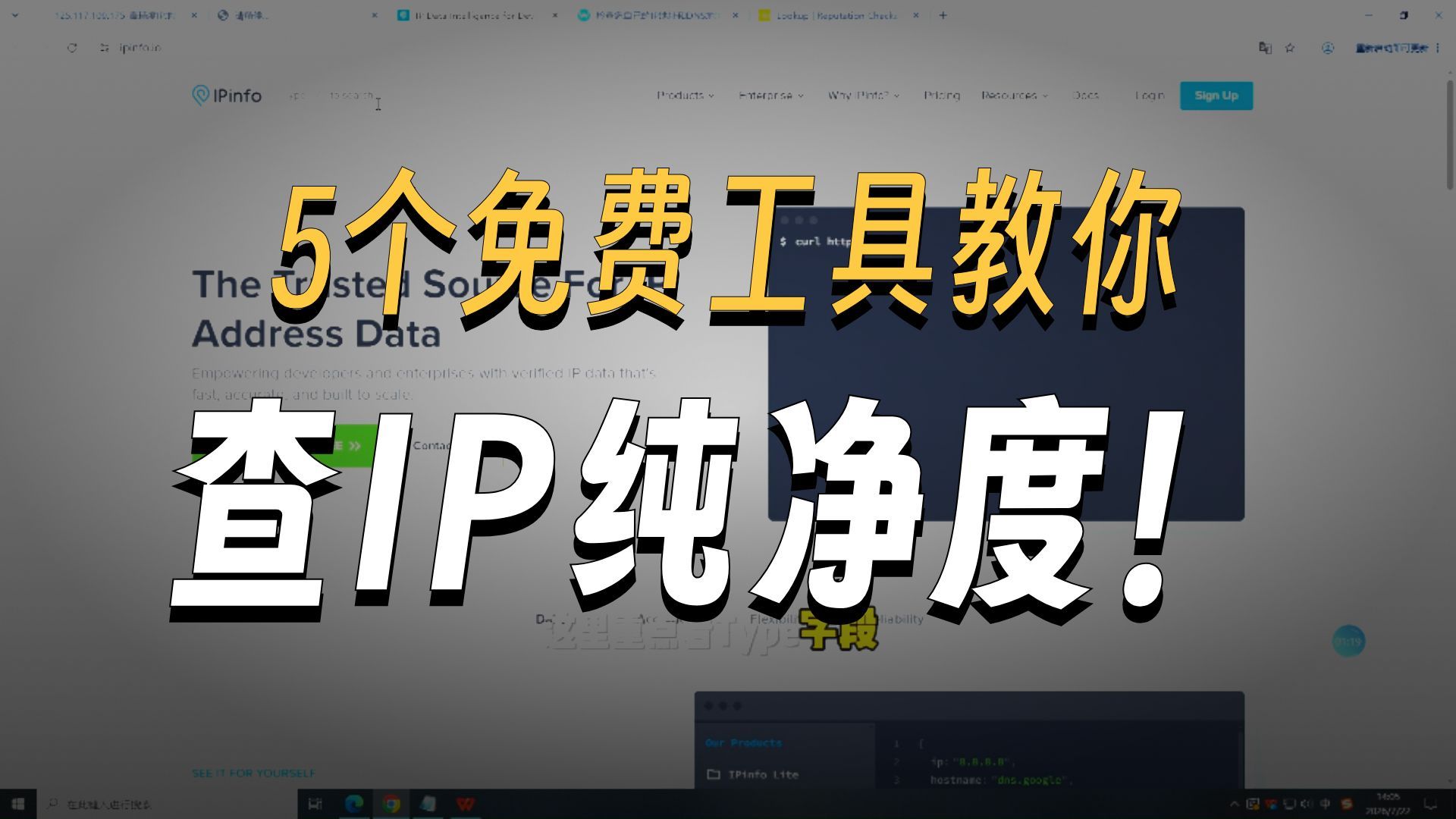 IP 纯净度自测教程