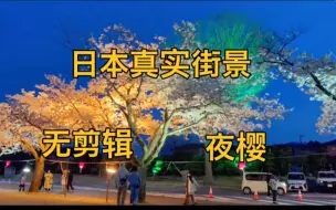 Descargar video: 日本老公推荐的地方赏茨城夜樱，无剪辑看看真实的日本。云旅游