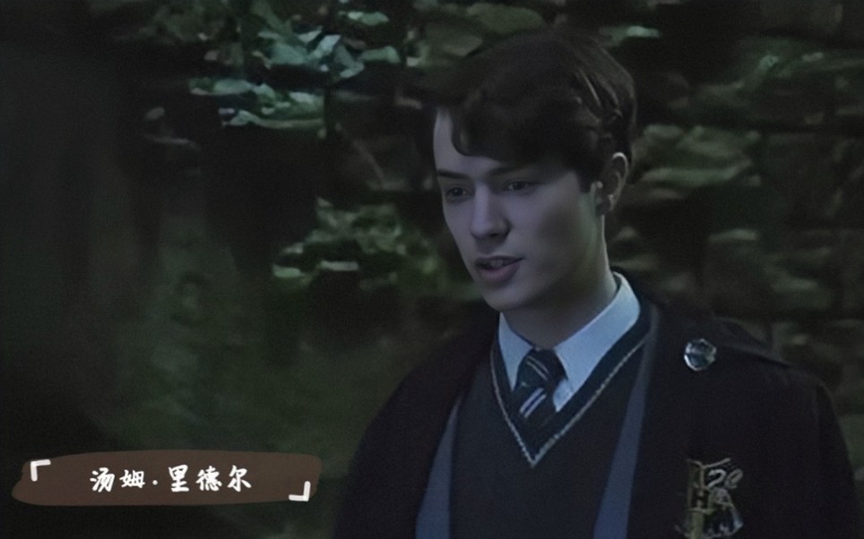 汤姆·里德尔个人向,伏地魔学生时代