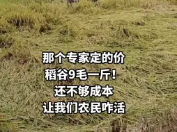 Tải video: 哪个专家定的价，稻谷九毛钱一斤？还不够成本？让我们农民咋活？