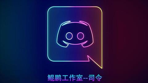 Discord使用token一键登录教程 哔哩哔哩