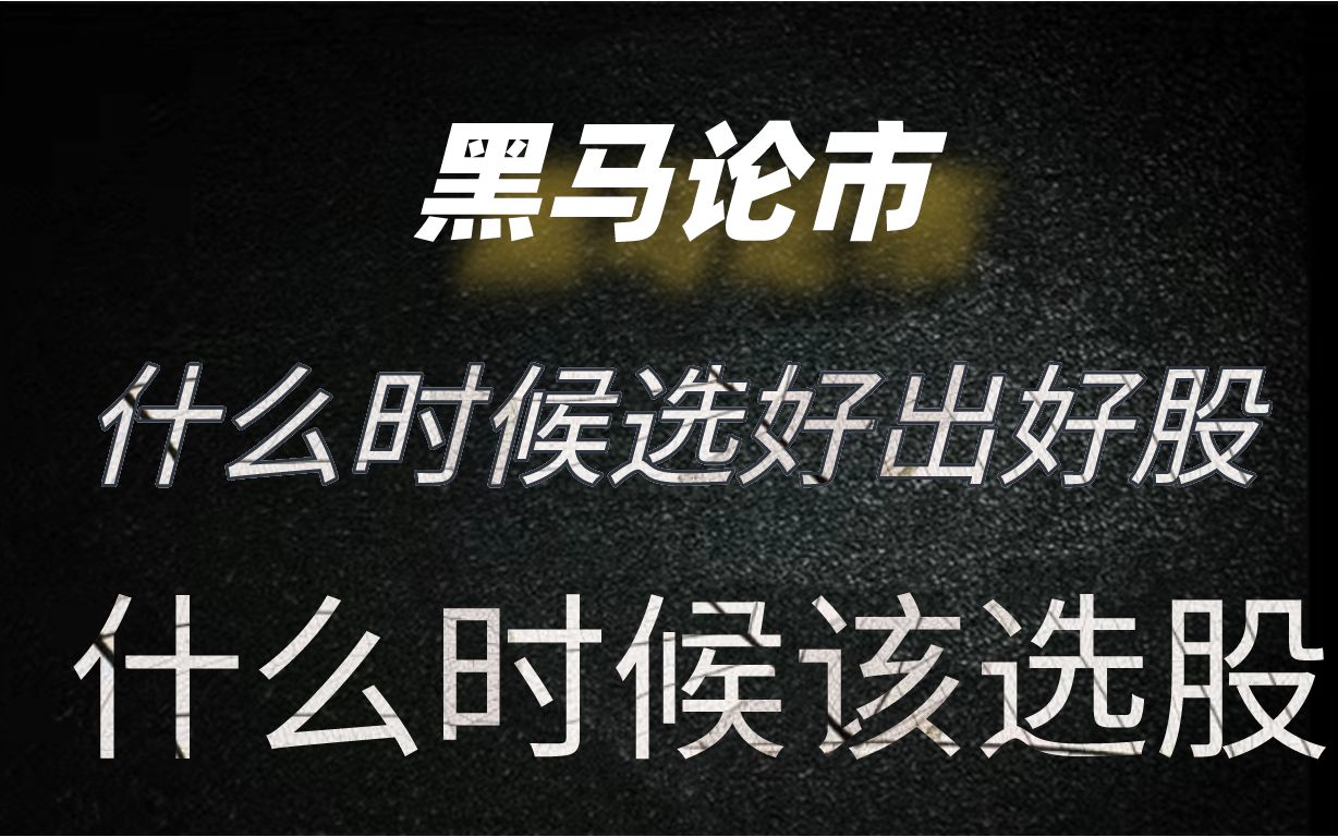 怎么样能选出好股? 什么时候该选股 平时你是怎么配置的,散户必看!散户到底如何才能做好仓位配置?精华篇上哔哩哔哩bilibili