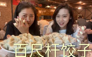 Скачать видео: 和包子一样大的饺子，28一份皮薄馅大，味道怎样