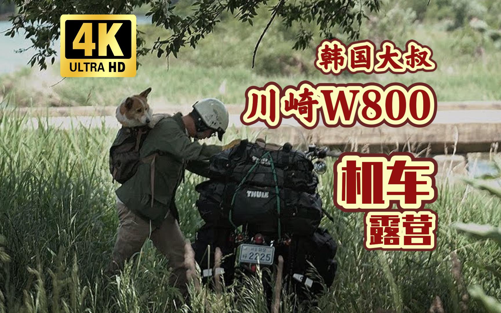 【机车露营】4K | 川崎w800 | 韩国大叔GIOCAMP | 野外农田,骑行野炊,每一帧都是壁纸,都在放松你的神经哔哩哔哩bilibili