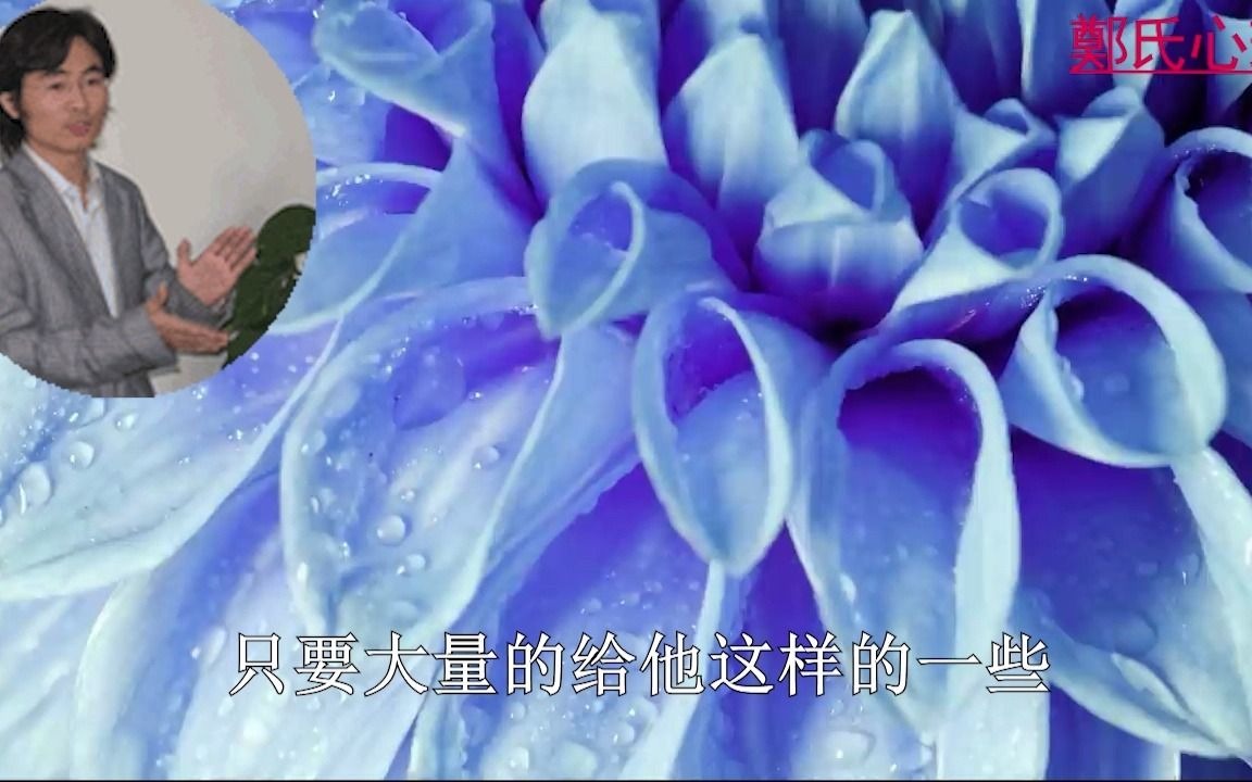 郑老师讲座:忧郁症自杀的危机干预(心理辅助治疗)哔哩哔哩bilibili